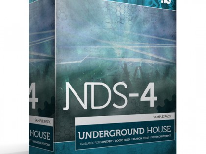 NDS-4 Underground House