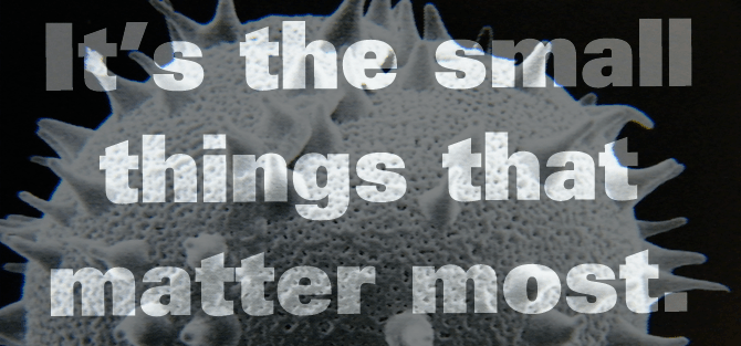 smallthingsblog