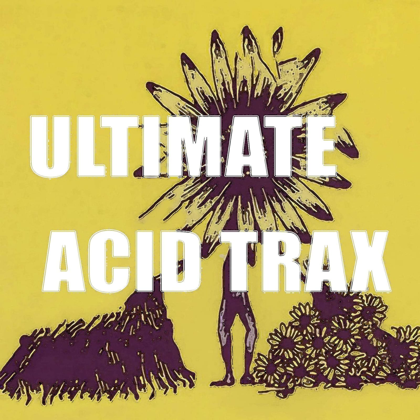 UltimateAcidTrax