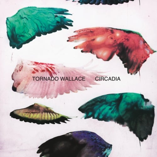 TornadoWallace-ESPInstitute