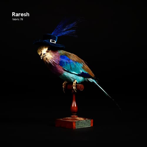 FABRIC78-RARESH