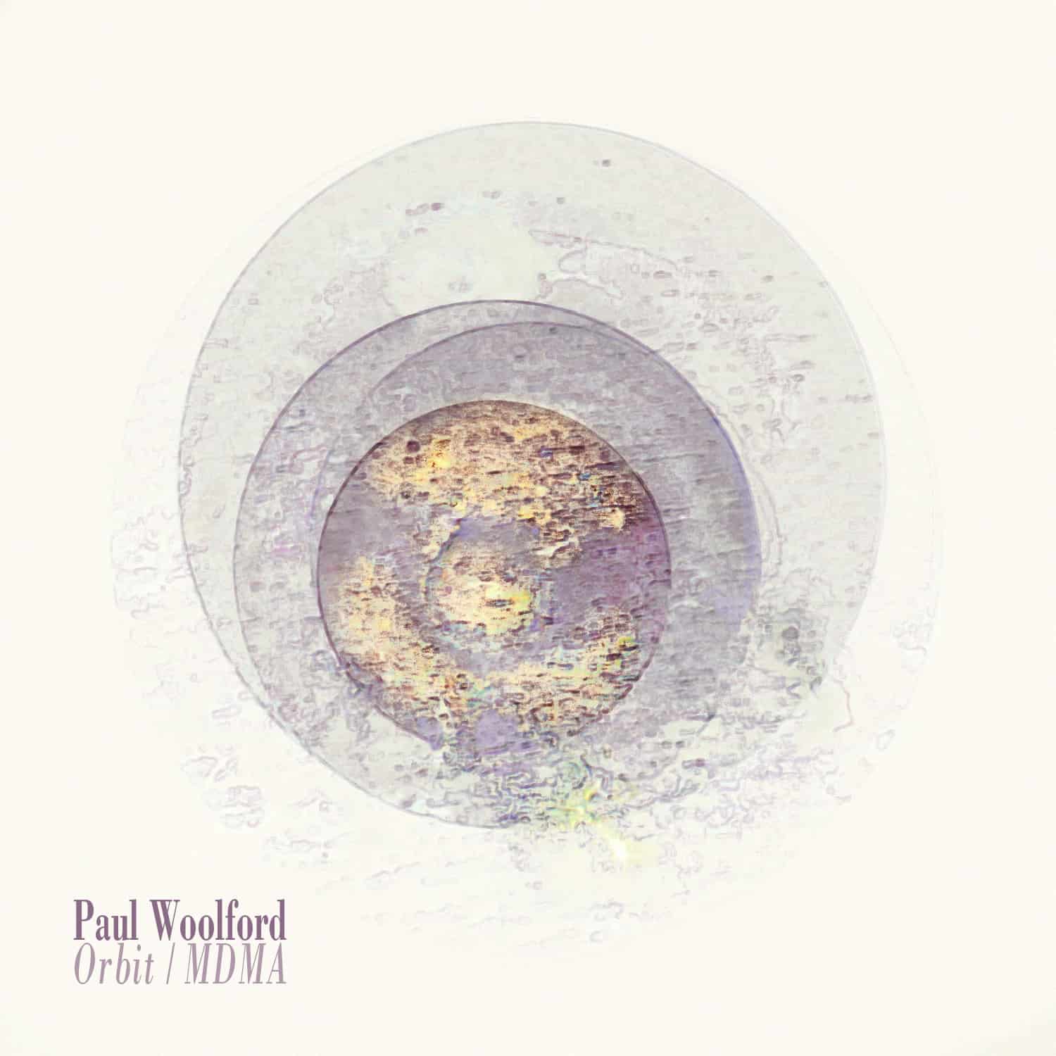 Paul Woolford - Orbit